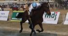 One Gold Medal and One Bronze Medal for Canada at the International Tent Pegging Championships