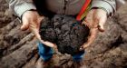 Alberta issues 20-year plan for enviro-friendly oilsands