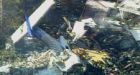 Plane didn't dive, landed flat on Buffalo house