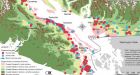 Deadly Oregon fungus may spread on West Coast