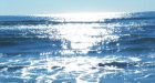 Ocean acidity rising at an alarming rate