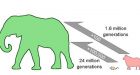 Mammals shrink faster than they grow