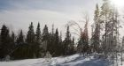 Climate change drying out forests in western Canada