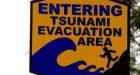 Tsunami made worse by 'pop-up' of sediments