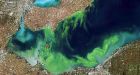 Great Lakes experiencing 'new stresses'