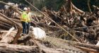 B.C. Interior power restored after slide caused by beavers