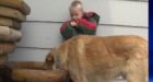Family dog credited with protecting missing 3-year-old North Dakota boy