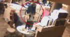 Video shows Charles Emmett Logan in St John's hospital attacking nurses