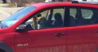 Yarmouth dogs take owner's car for a joyride outside animal hospital